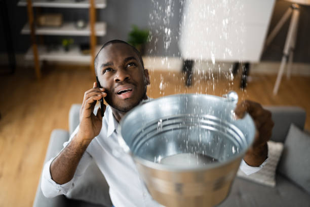 Best Water damage restoration near me  in Big Sky, MT