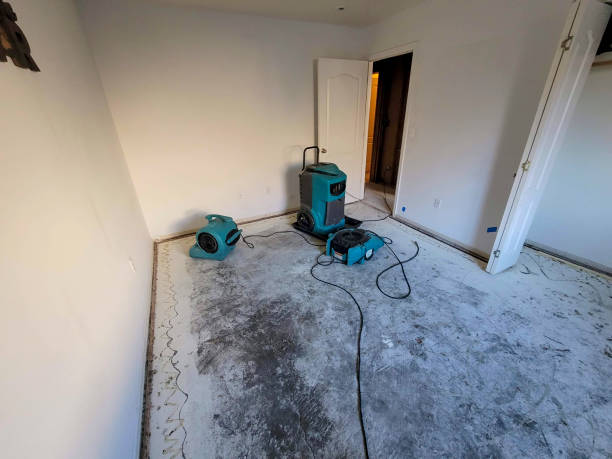 Best Water damage restoration cost  in Big Sky, MT