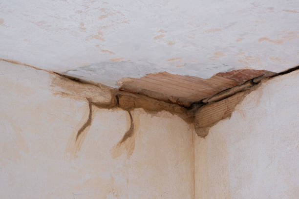 Professional Water damage restoration in Big Sky, MT