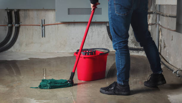 Best Flood damage cleanup  in Big Sky, MT