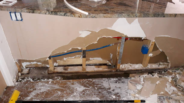 Best Flood damage cleanup  in Big Sky, MT