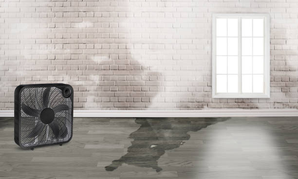  Big Sky, MT Water damage restoration Pros