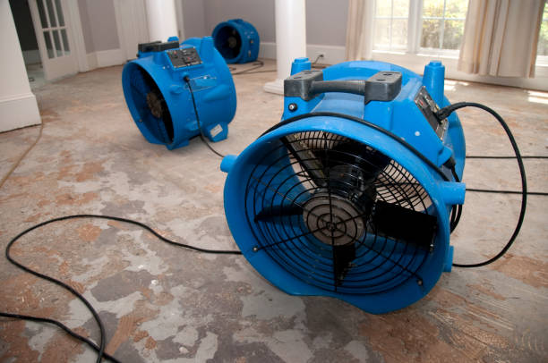  Big Sky, MT Water damage restoration Pros