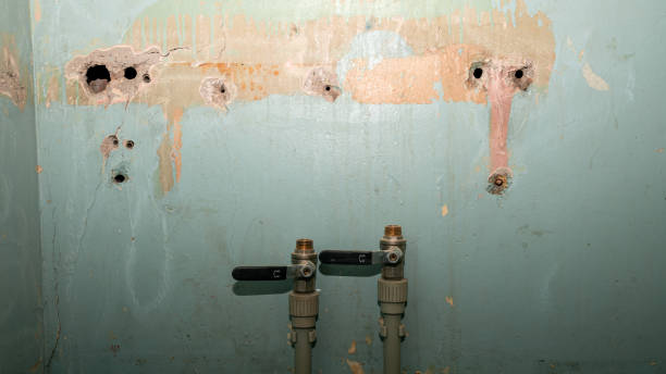 Best Mold removal after water damage  in Big Sky, MT