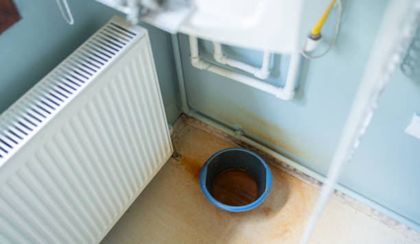 Best Ceiling water damage repair  in Big Sky, MT