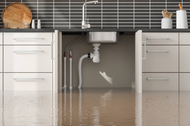 Best Professional water damage repair  in Big Sky, MT