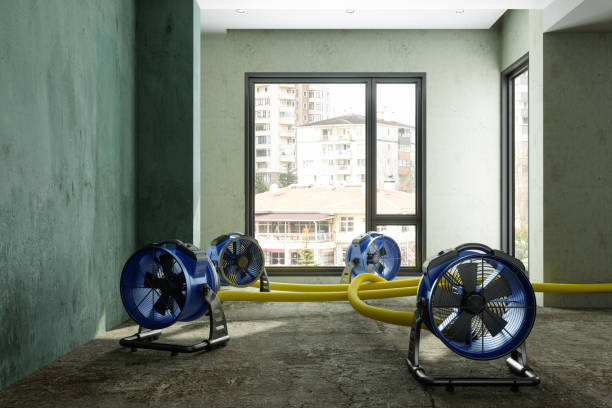 Best Carpet water damage restoration  in Big Sky, MT